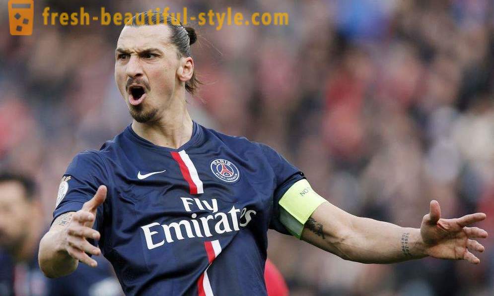 Focista Zlatan Ibrahimovic: életrajz és személyes élet egy focista
