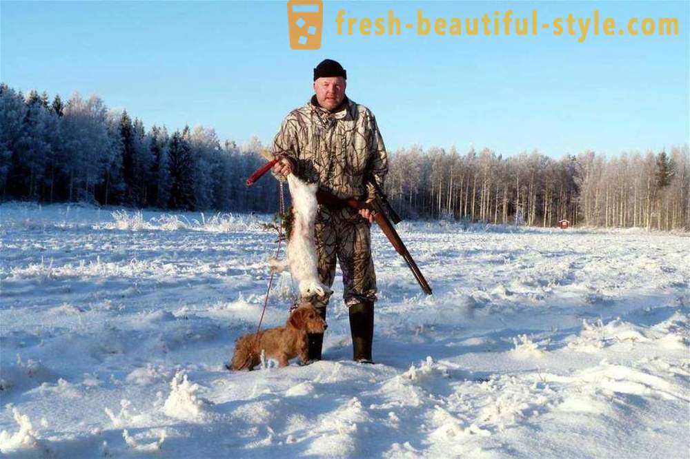Téli vadászat, amikor a szezon nyit, tippek kezdőknek, különösen felszerelések