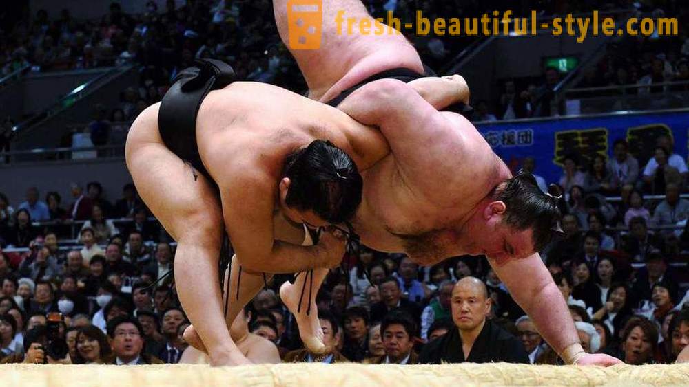 Sumo Wrestling: történelem, szabályok, eljárások és funkciók legérdekesebb tények