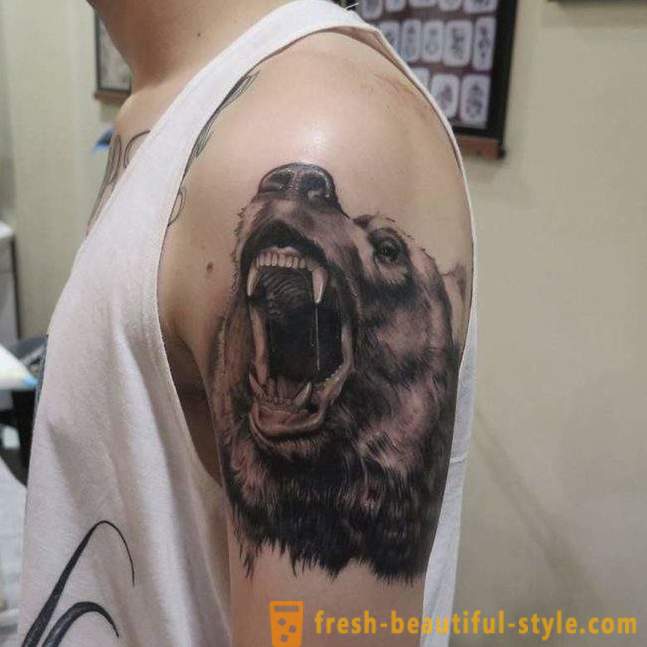 Jelentése tetoválás „medve”: férfiak, nők, a térségben