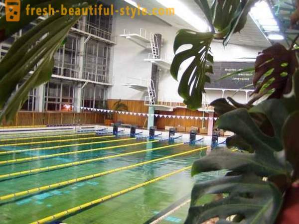 Pool „Vodnik” a Arhangelszk: hogyan kell kezdeni úszni?