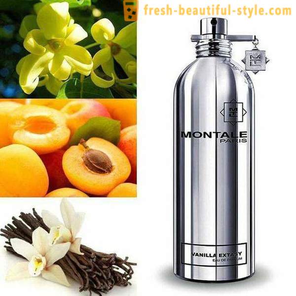 Spirits „Montal”: véleménye, leírások illatanyagok gyártója
