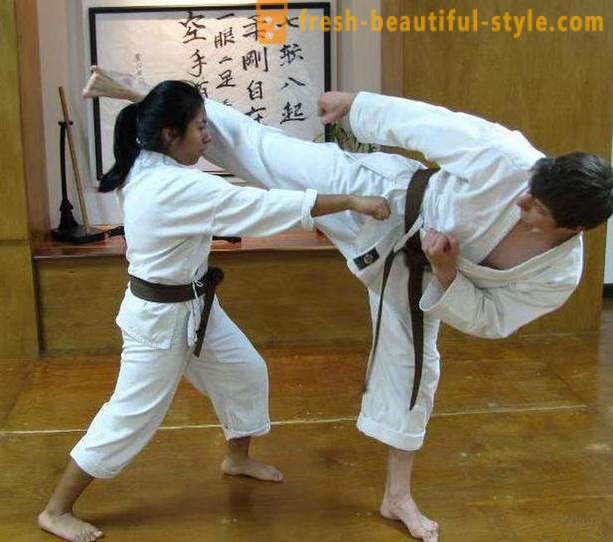 Japán típusú harcművészeti: a leírás, műszaki és érdekességek