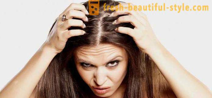Miért gyors zhirneyut haja? Lehetséges okok, jellemzői és kezelésére szolgáló eljárások