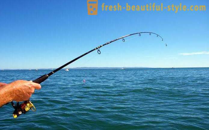 Horgászat Szizrany: a legjobb helyeket és harapós előrejelzése