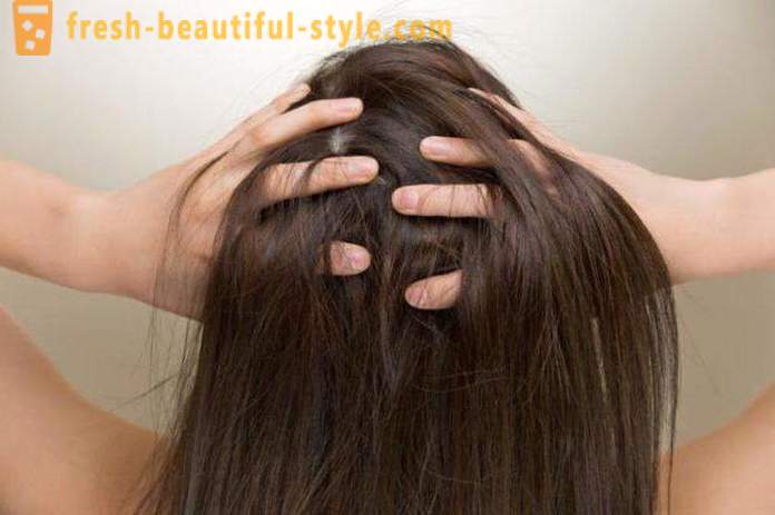 Hogyan lehet a legjobban festeni a haját: szennyezett vagy tiszta haj? Hogyan festék a hajfestékek