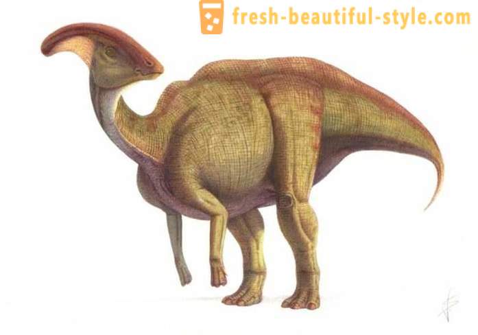 Egyedi megállapítások járó dinoszauruszok