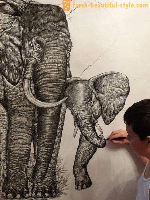 Szerb tinédzser felhívja lenyűgöző portrékat az állatok révén ceruzával vagy golyóstollal