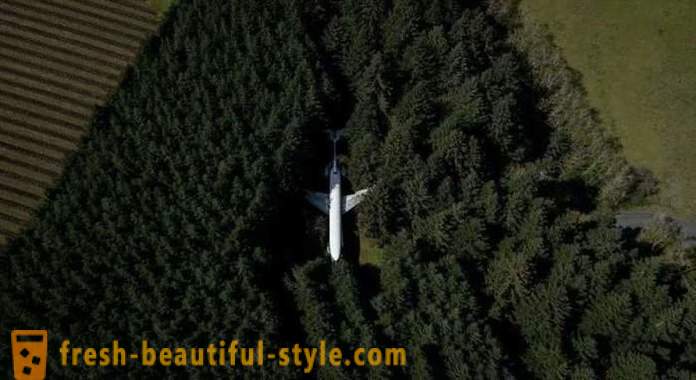Amerikai, 15 éve él egy repülőgép a az erdő közepén