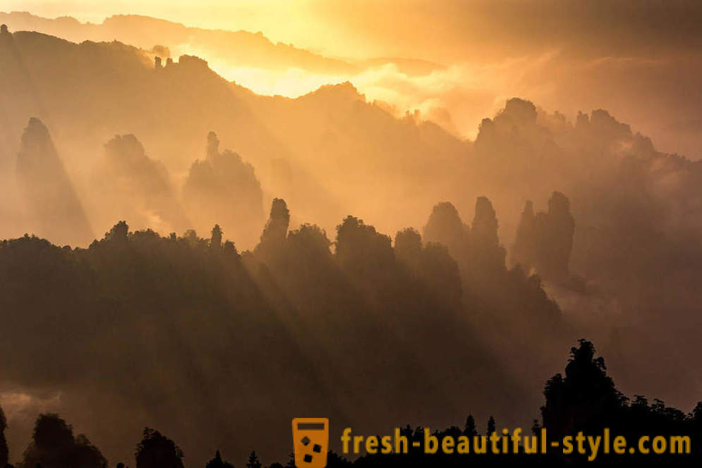 Utazzon Kínai Nemzeti Park