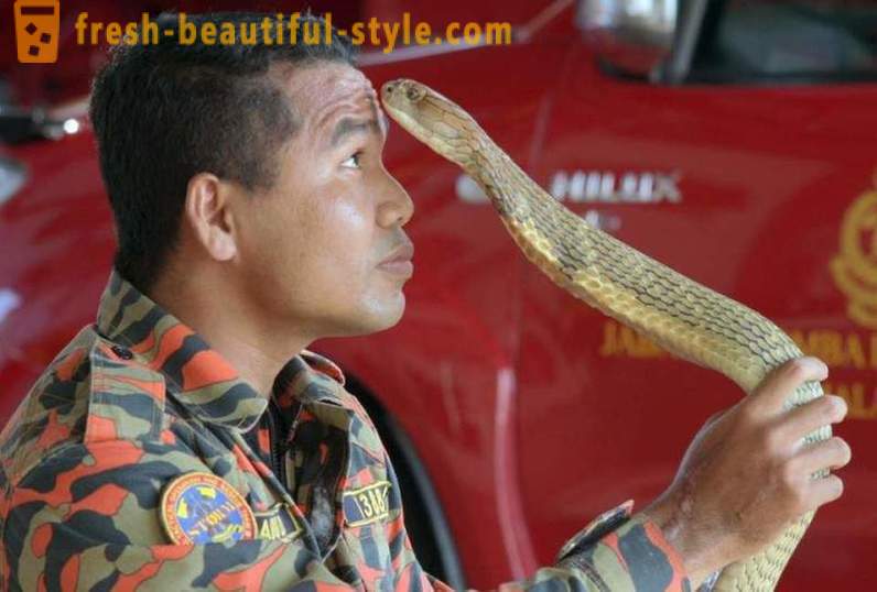 A híres tamer a kobra meghalt a harapás