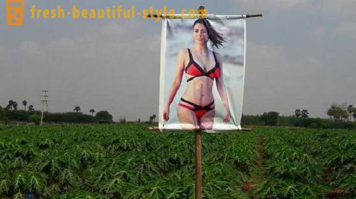 A plakát egy pornósztár növényvédelemben a szemmel verés