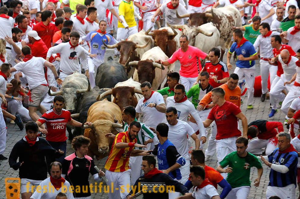 Milyen volt az éves futás a bikák Pamplona, ​​Spanyolország