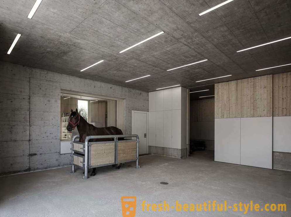 Tervezése állatorvosi klinikán lovak Ausztriában