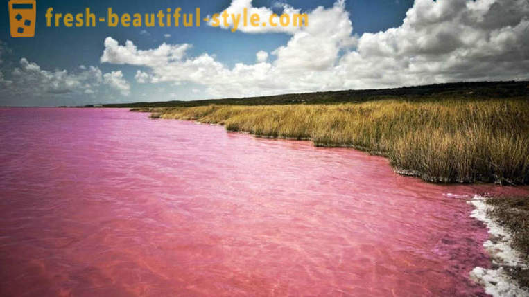 Oroszországban van egy tó, amely minden augusztusban alakul „pink zselé”