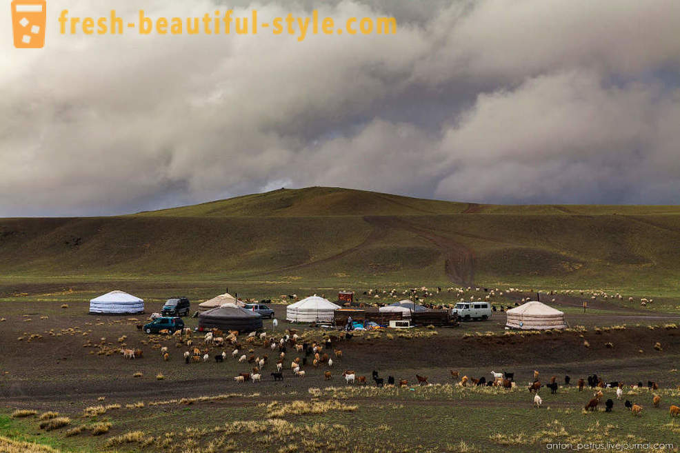 Zord Mongólia