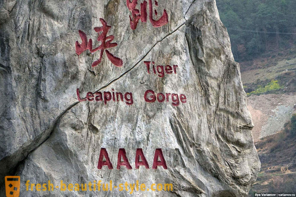 Tiger ugrott Gorge