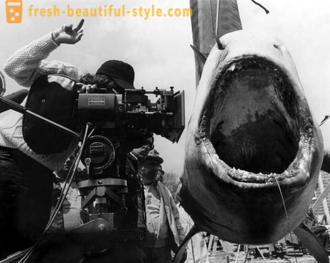 Hogyan kell lőni a film „Jaws”
