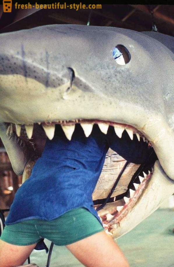 Hogyan kell lőni a film „Jaws”