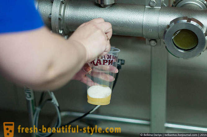 Hogyan készül a sör az Altáj terület