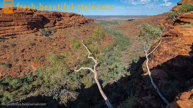 Séta a Kings Canyon Ausztráliában
