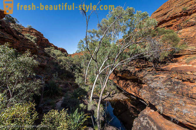 Séta a Kings Canyon Ausztráliában