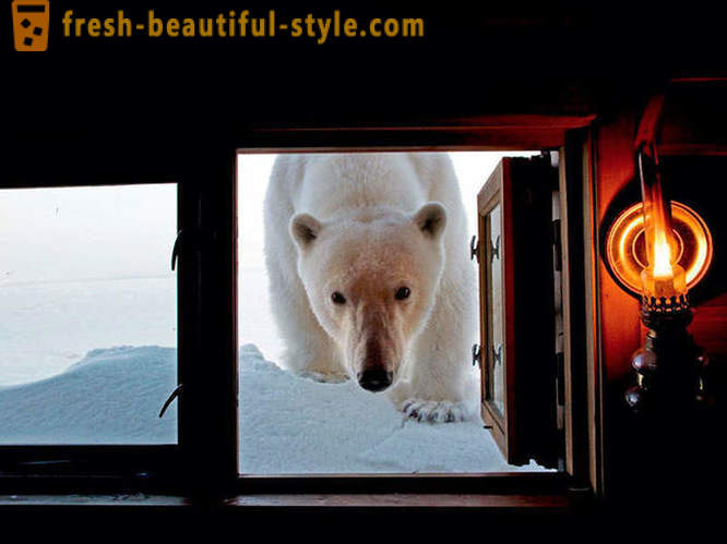 A legjobb képek a 2012-es National Geographic