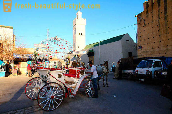 Fez - a legrégebbi császári városok Marokkó