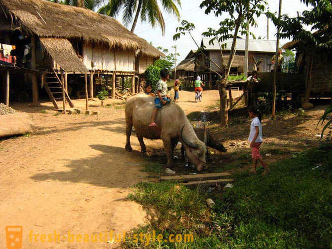 GeoFresher - Hogyan élnek Laosz