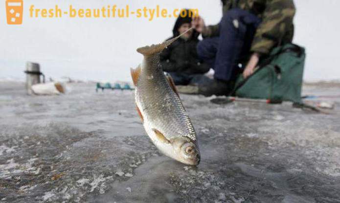 Horgászat Hanti-Manszijszkban. River Hanti-Manszijszkban