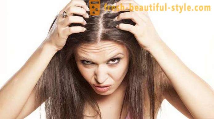 Kábítószer minoxidil a haj: véleménye, jellemzői és felhasználási leírás a legjobb