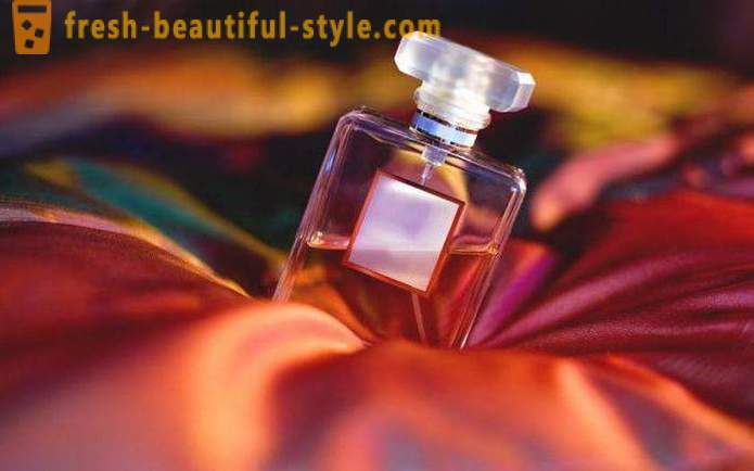 Mi a parfüm: a történet a látogató létesítmények. Ellentétben parfüm parfüm