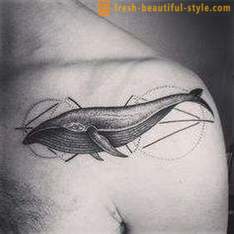 Tattoo „bálna”: a történelem, jelentését és fotók