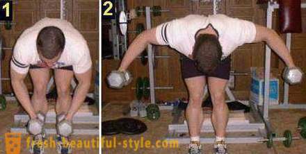 Gyakorlatok a súlyzókkal a vállak a férfiak és nők