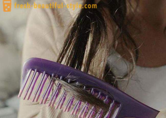 Hogyan lehet gyorsan száraz hajat anélkül, hajszárító? Mi irányítja a szépség vészhelyzet esetén!