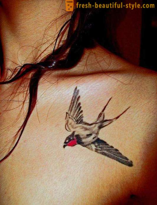 Tattoo „fecske a nyakán” - a titka a tökéletes kép