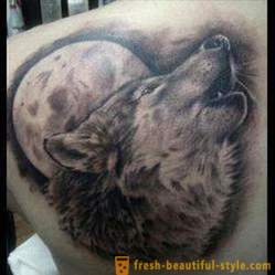 Jelentése tattoo „Wolf”: leírás, árnyalja példák