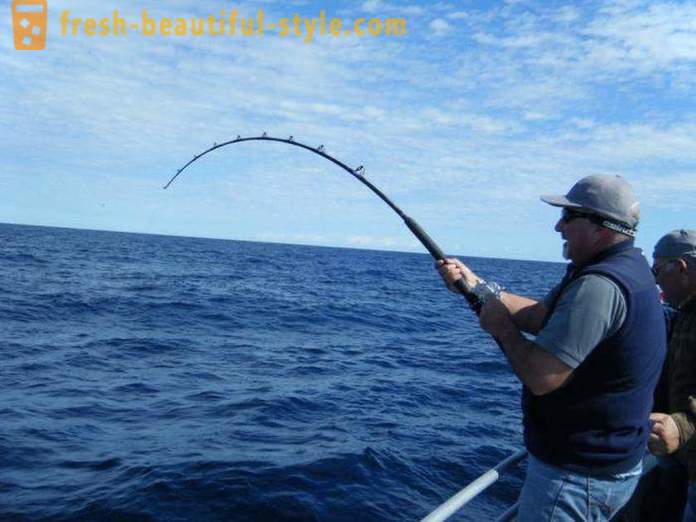 Szeretek horgászni? Horgászat a tavon, a folyó és a tenger. Hogyan halat fonás?
