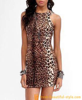 Leopard ruha gyönyörű ragadozó
